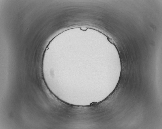 X0000110691534200907101138