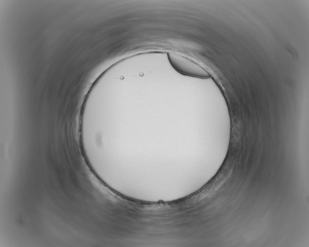 X0000110691535200907101138