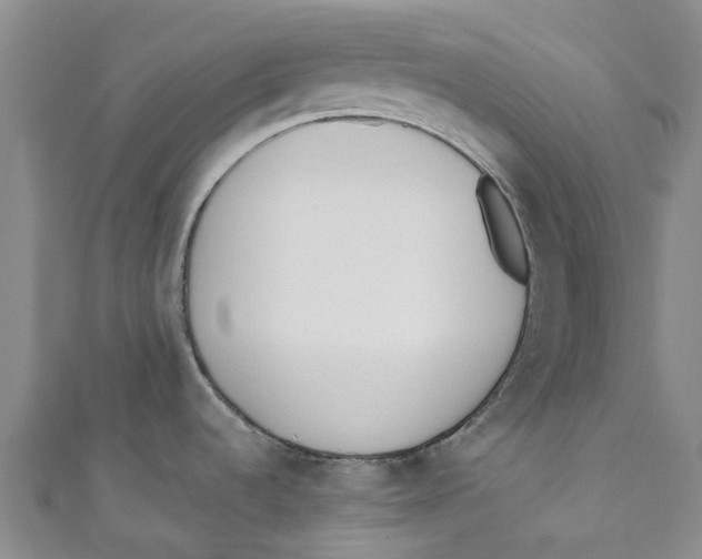 X0000110691536200907101138