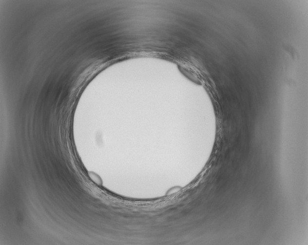 X0000110690001200907241114