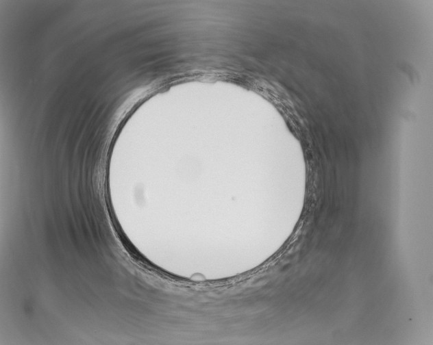 X0000110690003200907241114