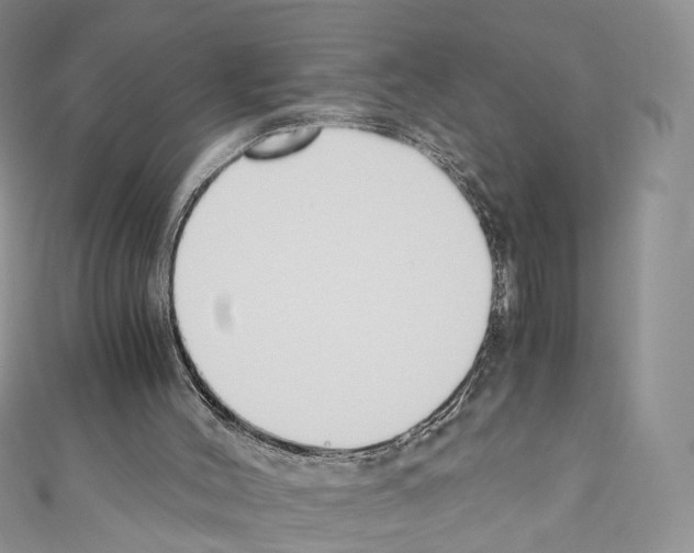 X0000110690004200907241114