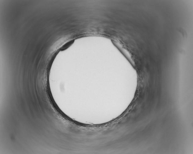 X0000110690005200907241114