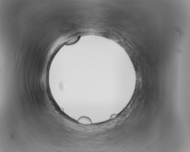 X0000110690006200907241114