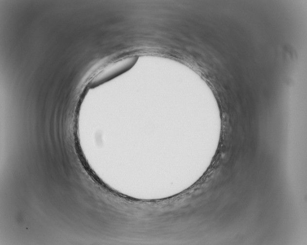 X0000110690007200907241114