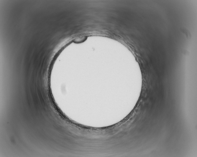 X0000110690008200907241114