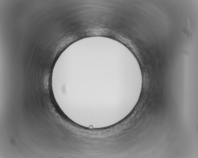 X0000110690010200907241114