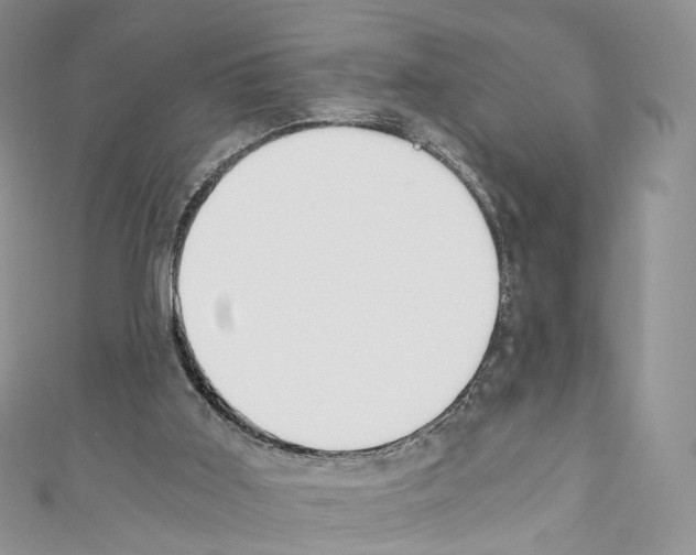 X0000110690011200907241114