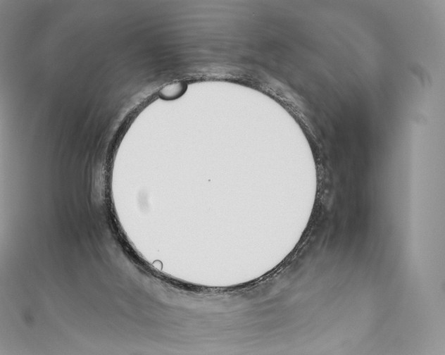 X0000110690012200907241114