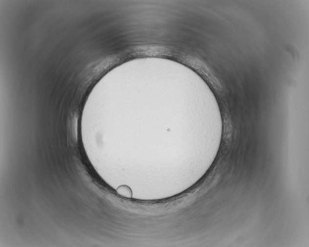 X0000110690014200907241114