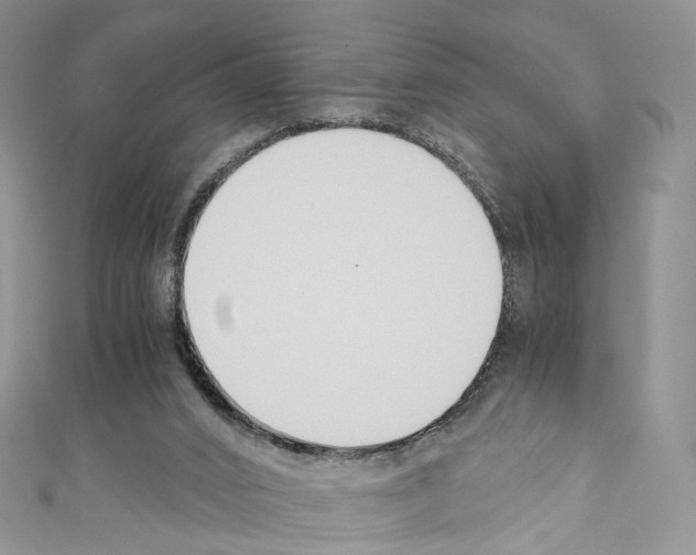 X0000110690016200907241114