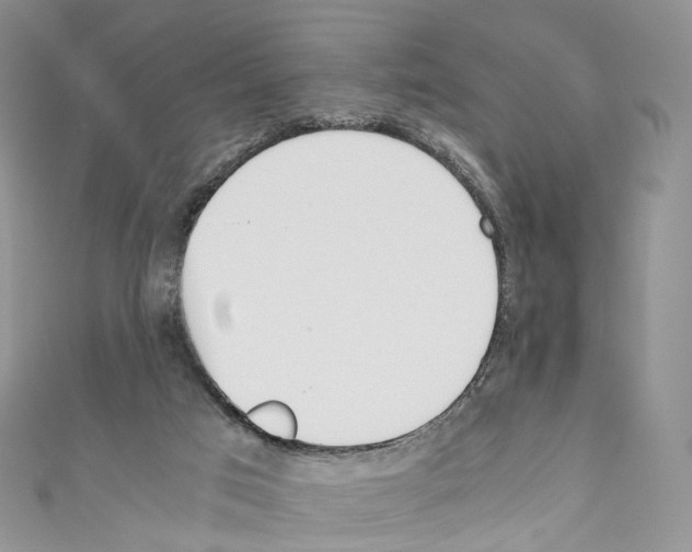 X0000110690017200907241114