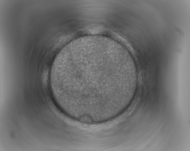 X0000110690018200907241114