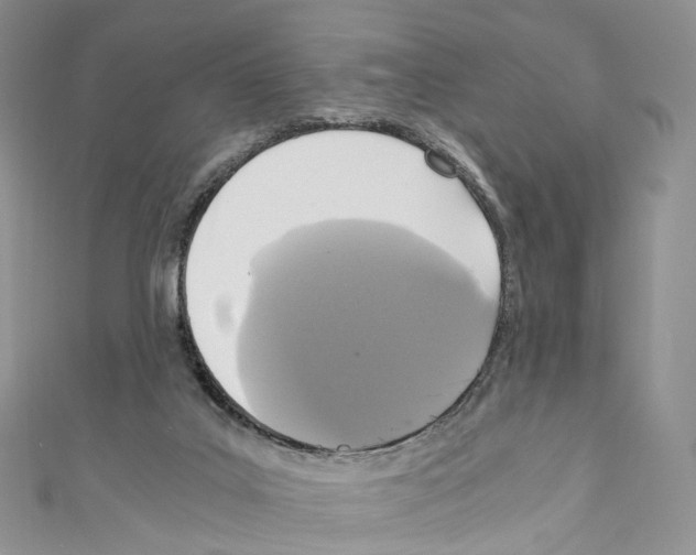 X0000110690019200907241114