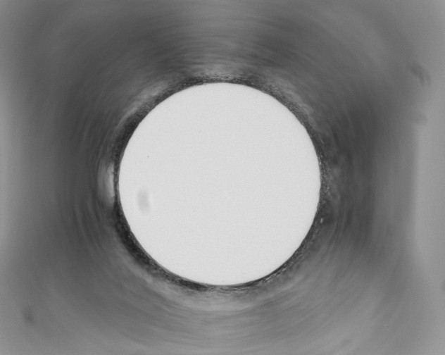 X0000110690020200907241114