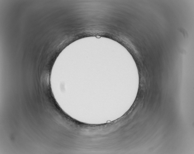 X0000110690021200907241114