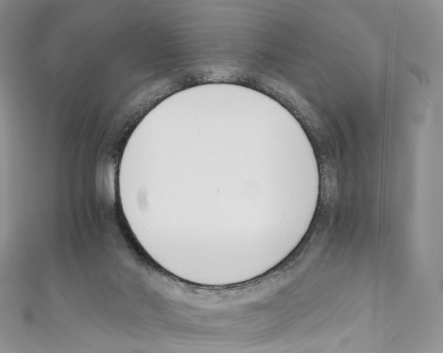 X0000110690022200907241113