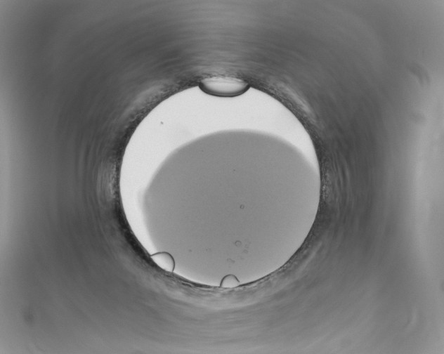 X0000110690023200907241113