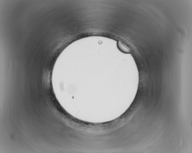 X0000110690024200907241113