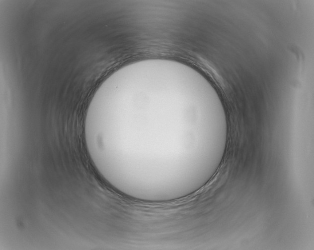 X0000110690025200907241113