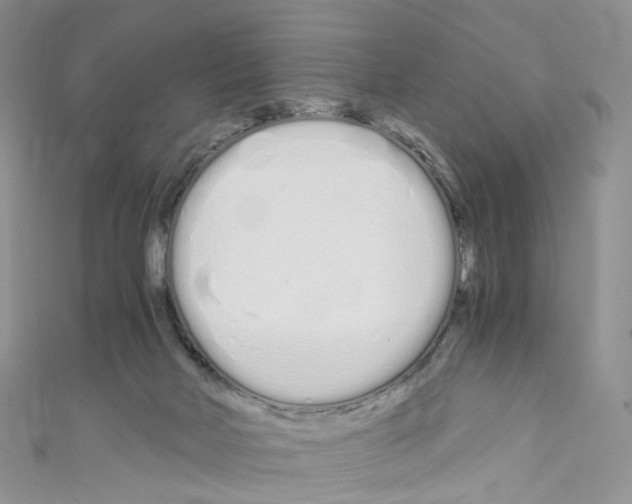 X0000110690026200907241113