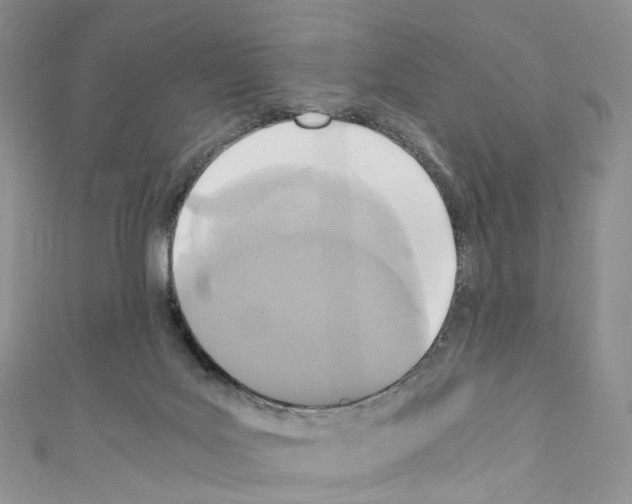 X0000110690027200907241113