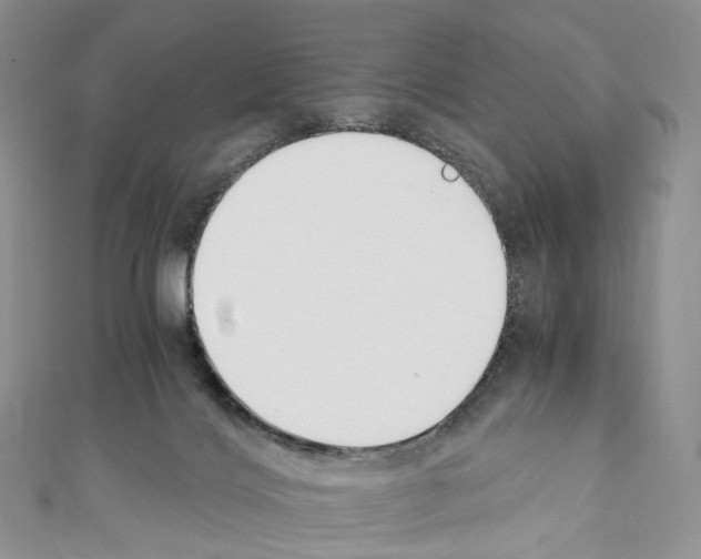 X0000110690028200907241113