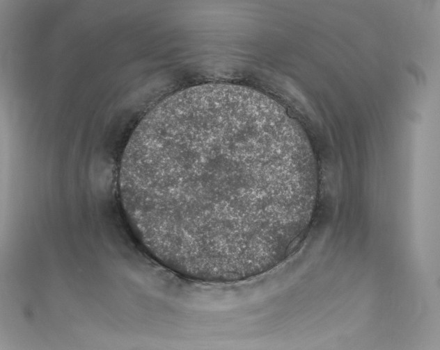 X0000110690029200907241113