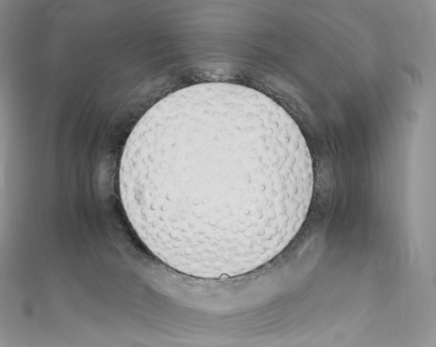 X0000110690030200907241113