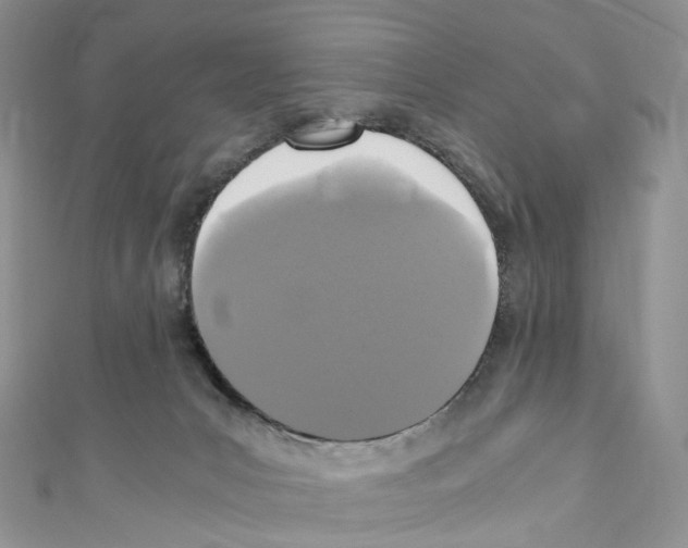 X0000110690031200907241113