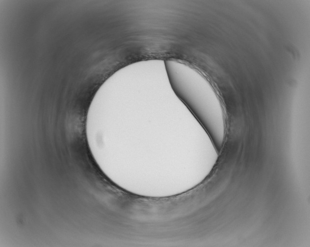 X0000110690033200907241113