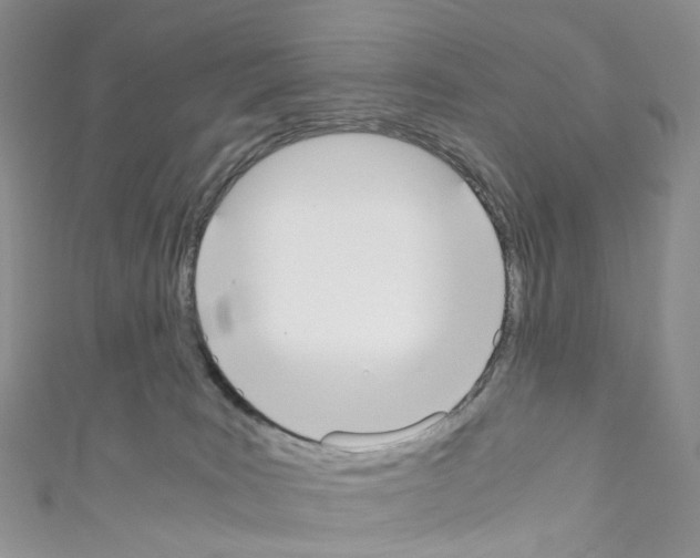 X0000110690035200907241113