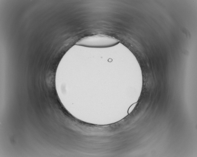 X0000110690036200907241113