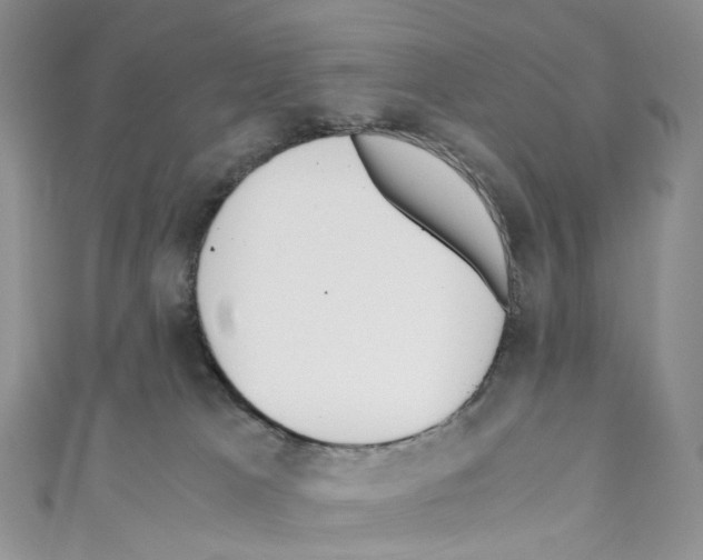 X0000110690037200907241113