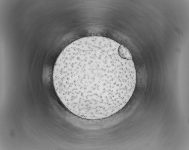 X0000110690038200907241113