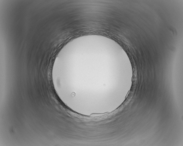 X0000110690039200907241113