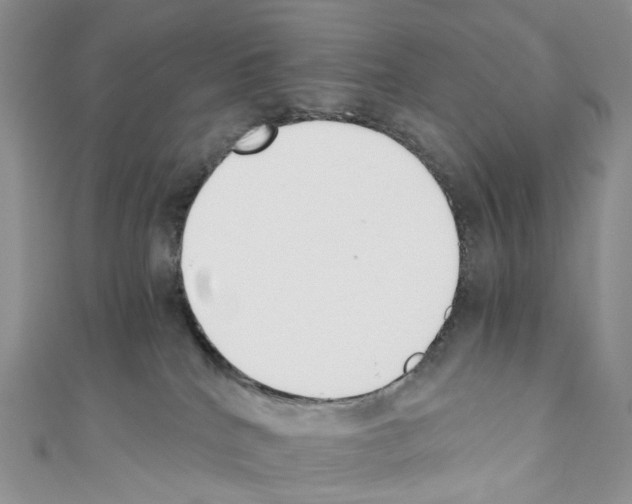 X0000110690040200907241113