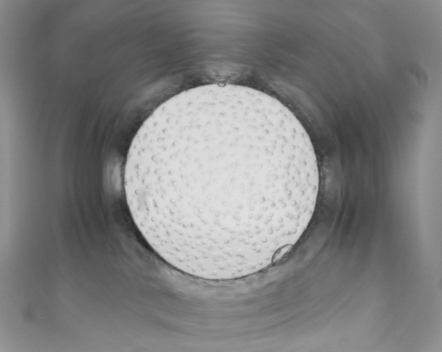 X0000110690042200907241113