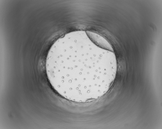 X0000110690043200907241113