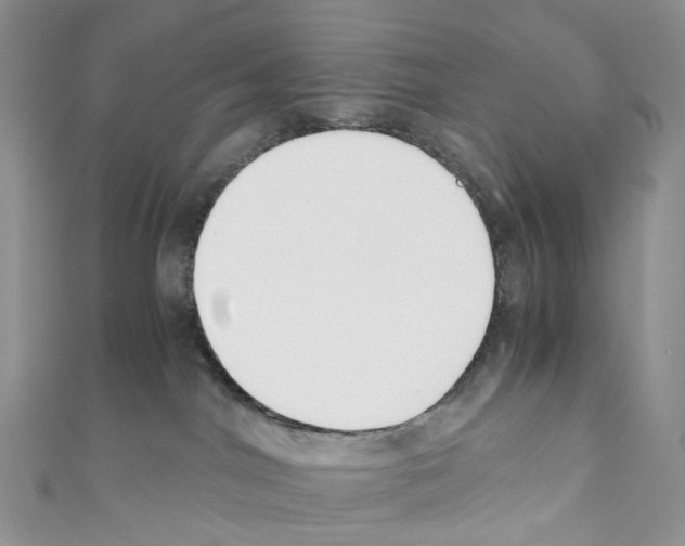 X0000110690044200907241113