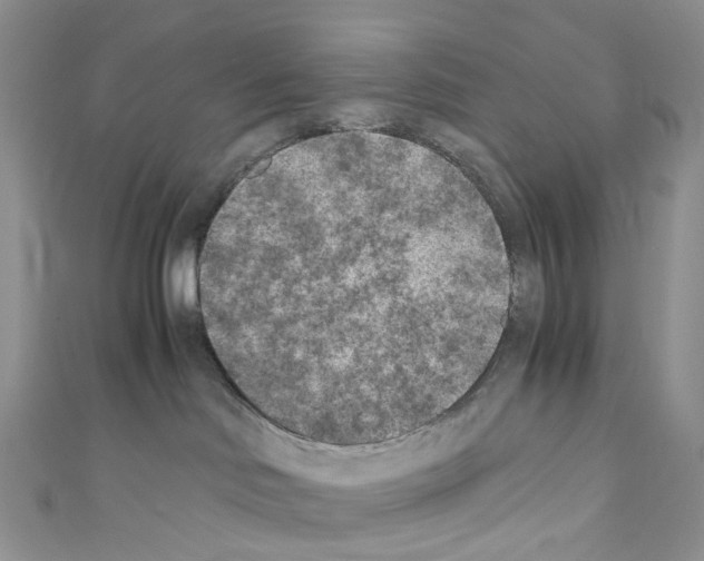 X0000110690046200907241113