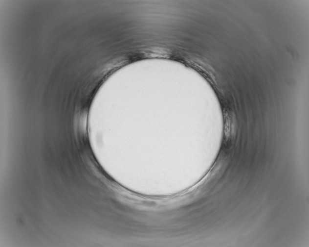 X0000110690047200907241113