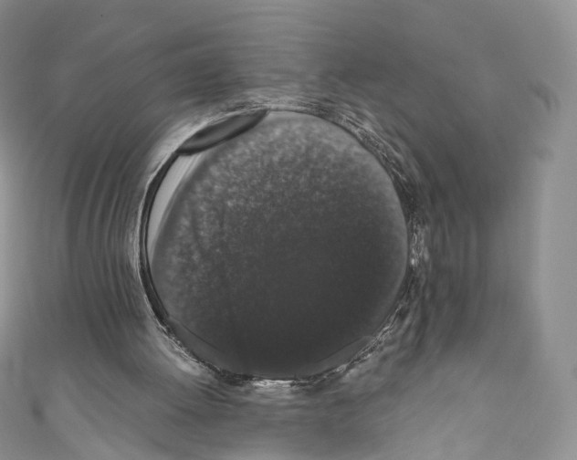 X0000110690052200907241112