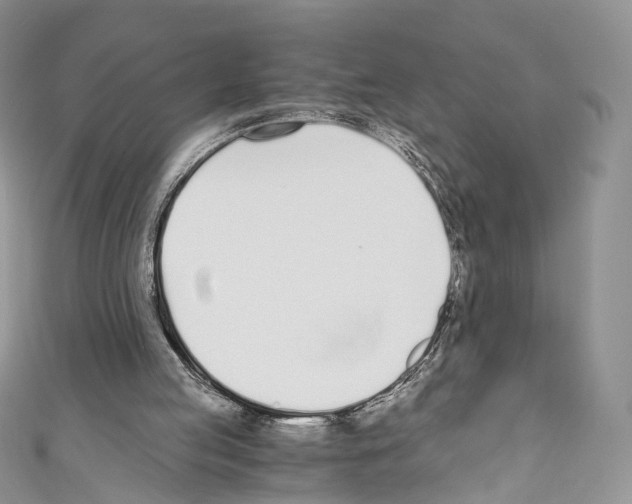 X0000110690053200907241112