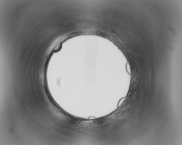 X0000110690054200907241113