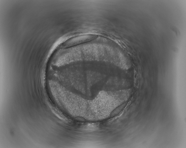 X0000110690056200907241113