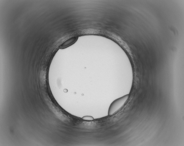 X0000110690057200907241113