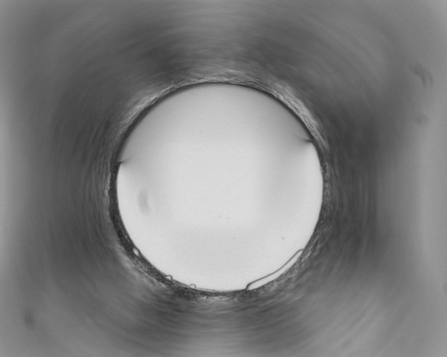 X0000110690058200907241113