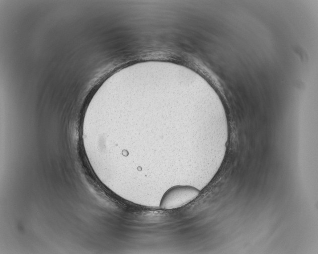 X0000110690059200907241113