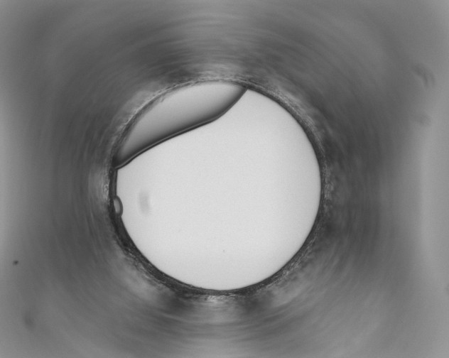 X0000110690060200907241113